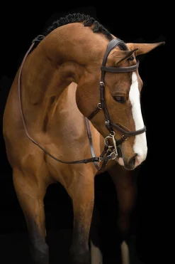 Rambo Micklem Competition Trensenzaum