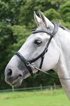 Rebecca Sidepull mit Zügeln (System 3)