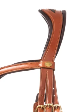 Robin Englische Trense