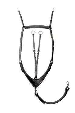 Robin 3-Punkt Brustblatt mit Elastik