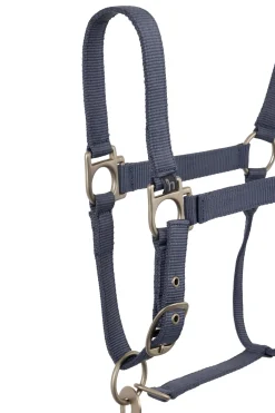 Rose Tonique Halfter