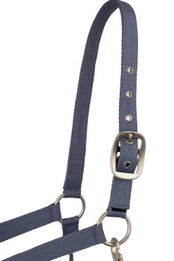 Rose Tonique Halfter