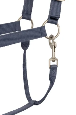 Rose Tonique Halfter