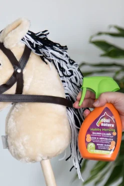 Sauber Zauber, 250 ml