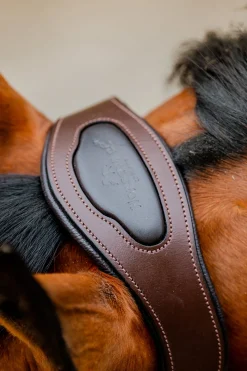 Signature Show Halfter