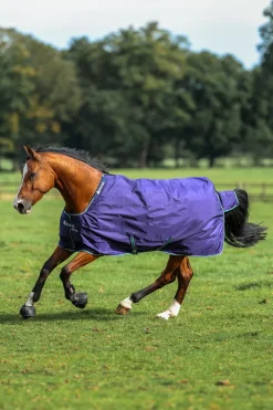 Smartex Rain Regendecke, 0g