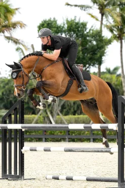 Soft Shell Anti-Rutsch Euro Spring Schabracke