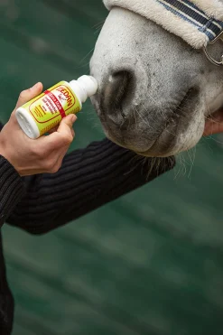 SP extra stark Insektenschutz Roll-on Lotion, 75ml