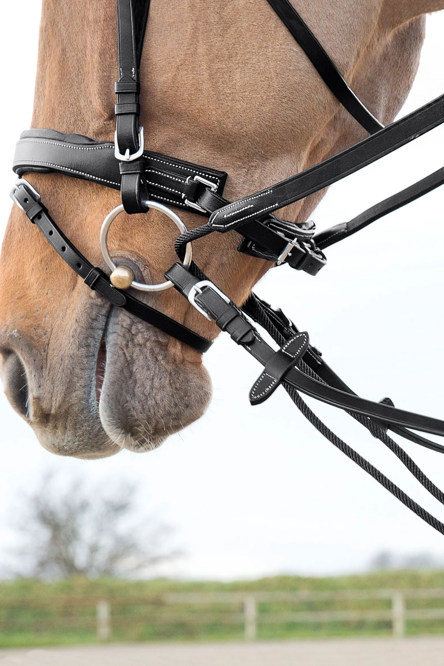 Sparta Schlaufzügel aus Nylon/Leder