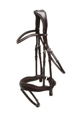 Stanford Anatomische Trense