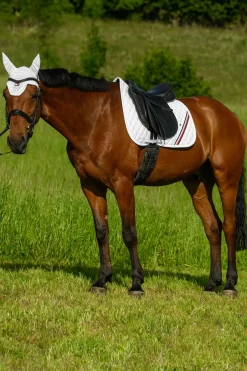 Stanford Dressurschabracke