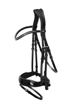 Stanford S Bridle