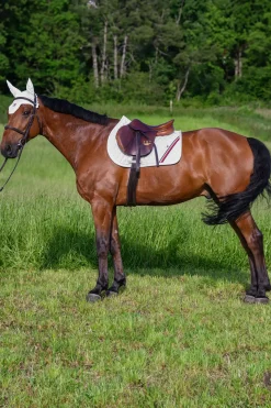 Stanford Springschabracke