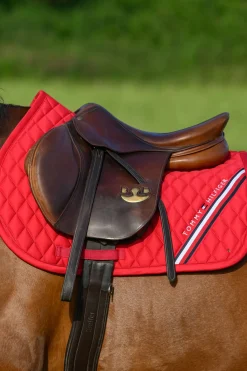 Stanford Springschabracke