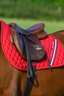 Stanford Springschabracke