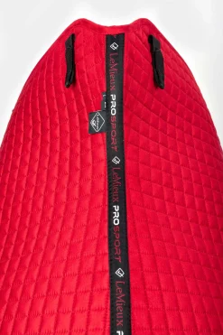 Suede Luxuriöse saisonale Dressurschabracke