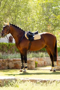 Suede Square CC Springschabracke