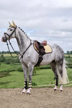 Suede Square CC Springschabracke