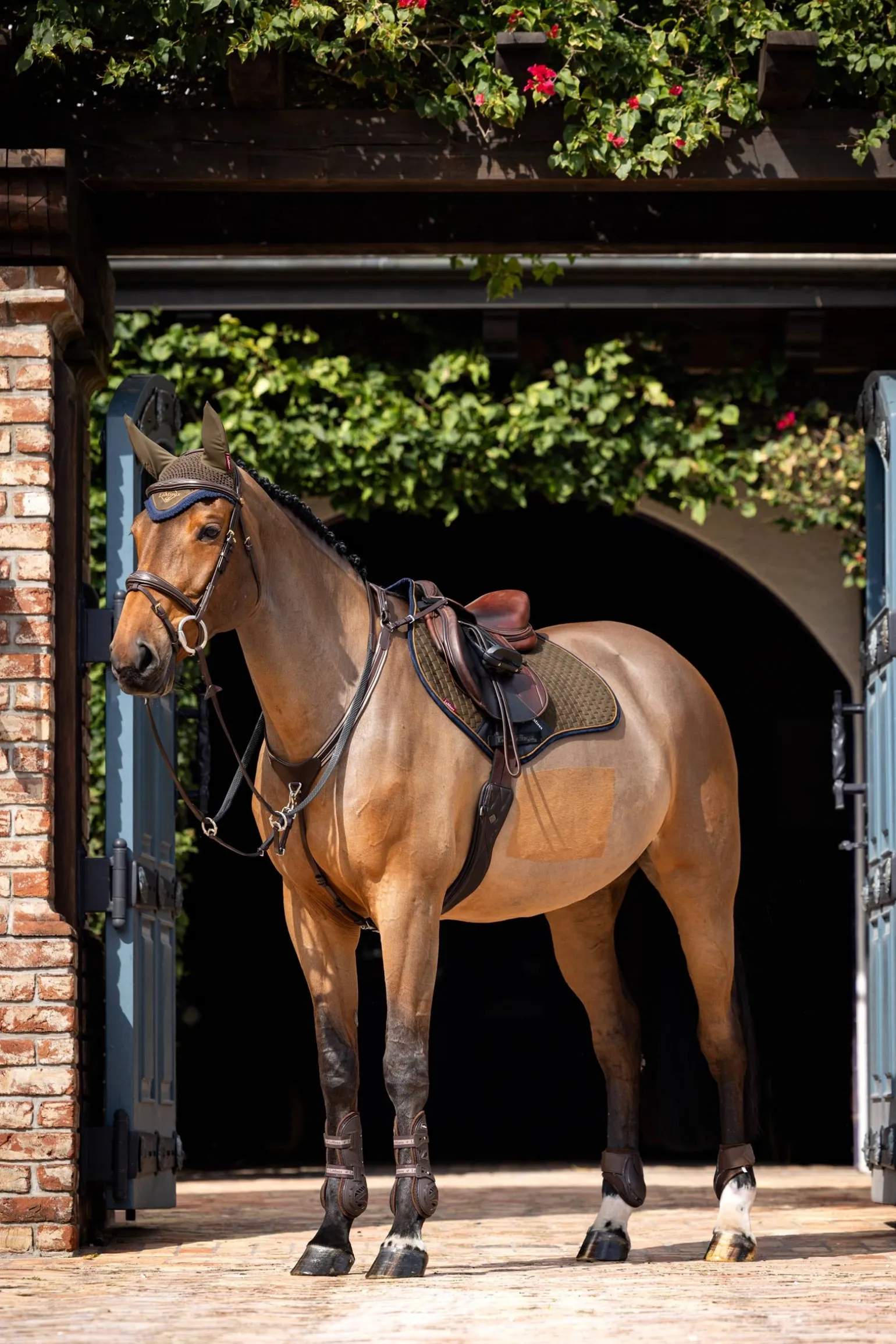 Suede Square CC Springschabracke