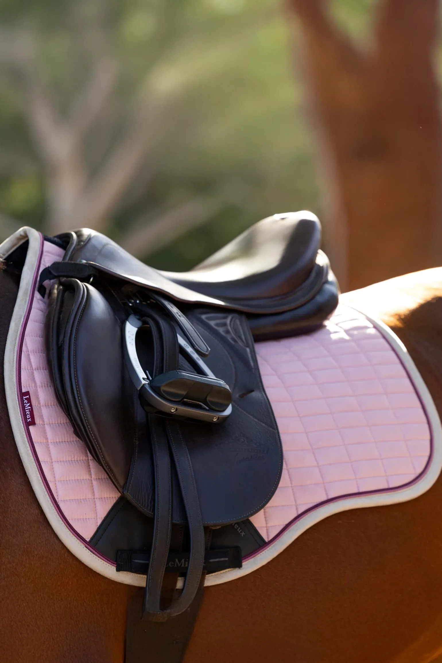 Suede Square Vielseitigkeitsschabracke