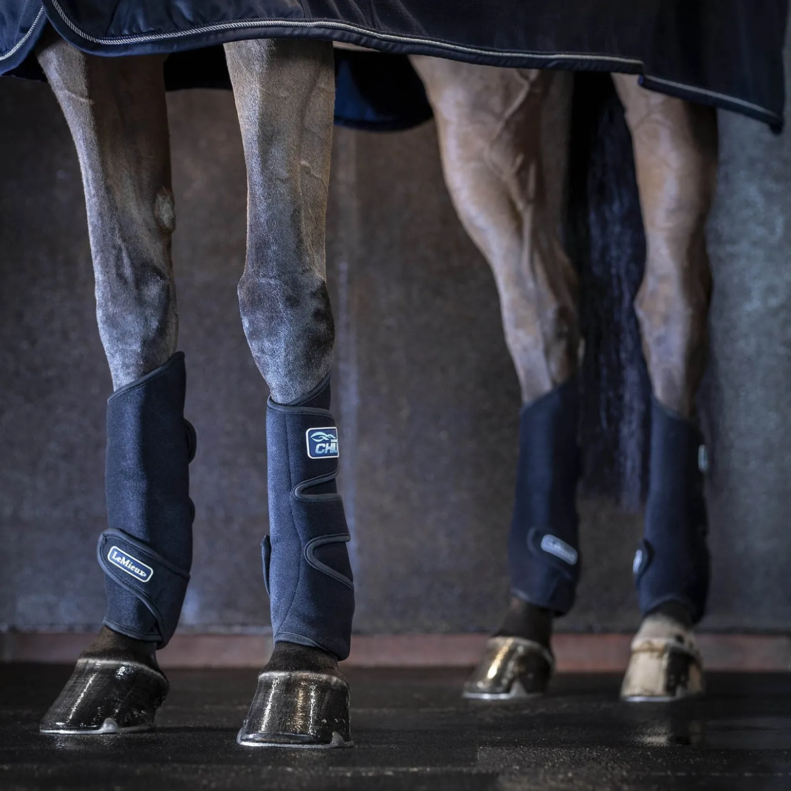 Tendon Chill Kühlgamaschen