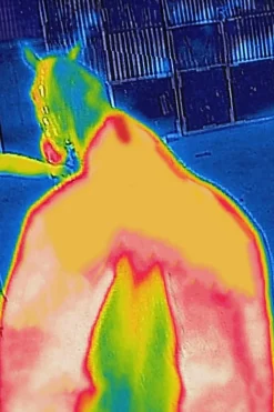 Therapy Abschwitzdecke, 0 g