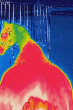 Therapy Abschwitzdecke, 0 g