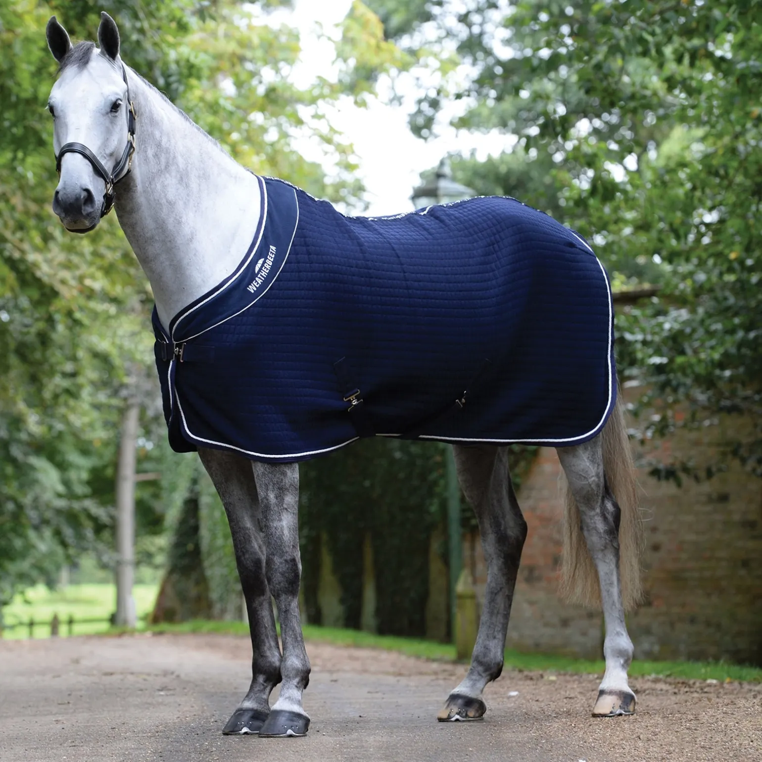 Thermocell Abschwitzdecke