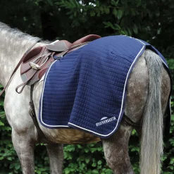 Thermocell Nierendecke