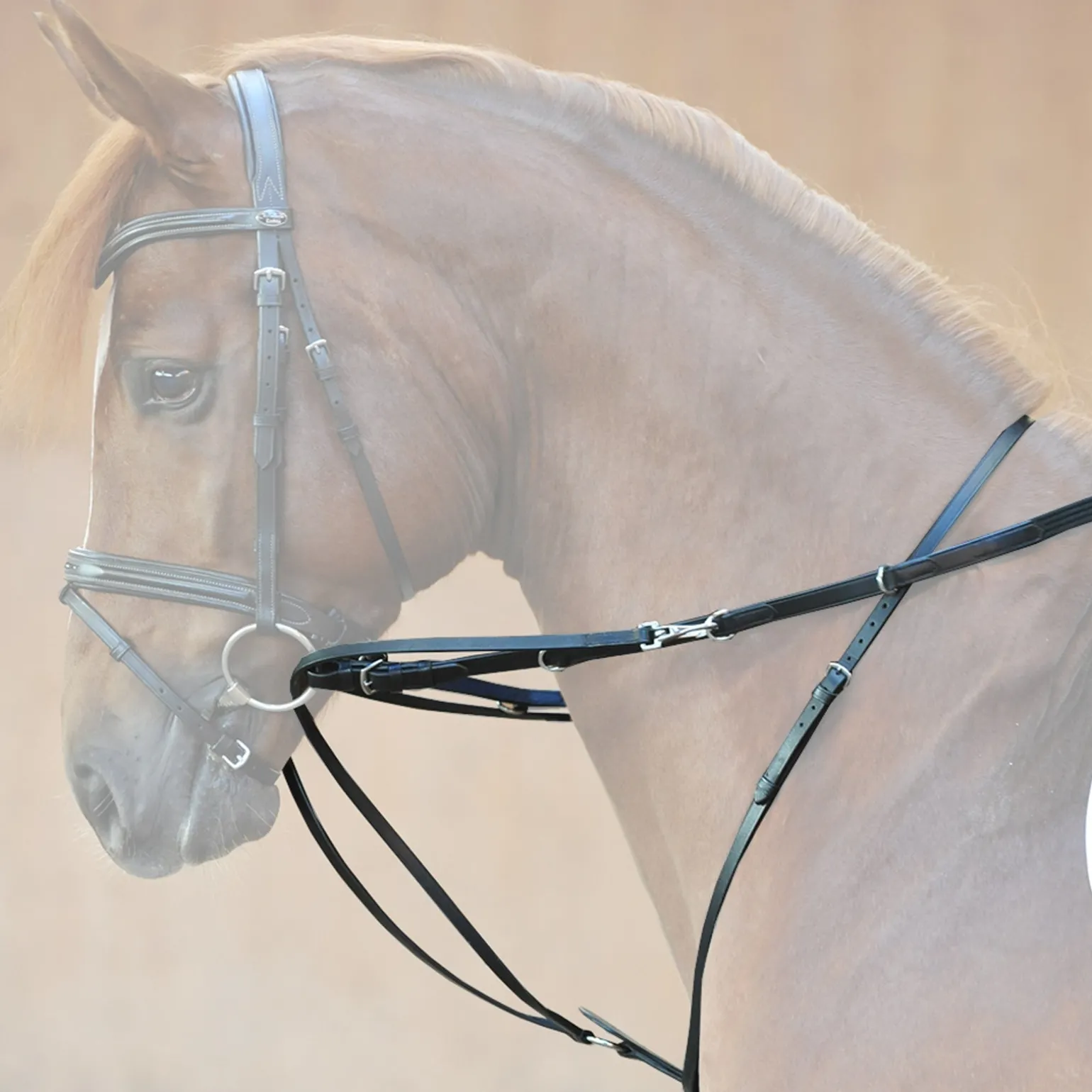 Thiedemann-/Köhler-Zügel