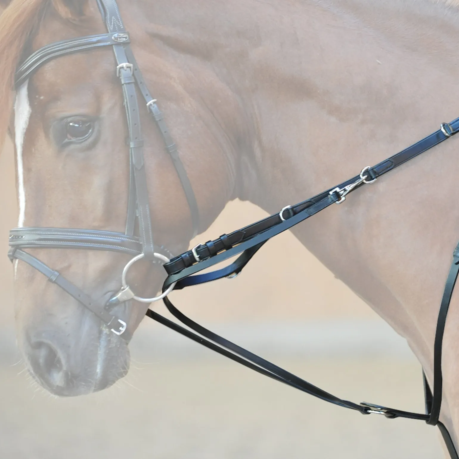 Thiedemann-/Köhler-Zügel