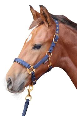 TopLine Fohlenhalfter