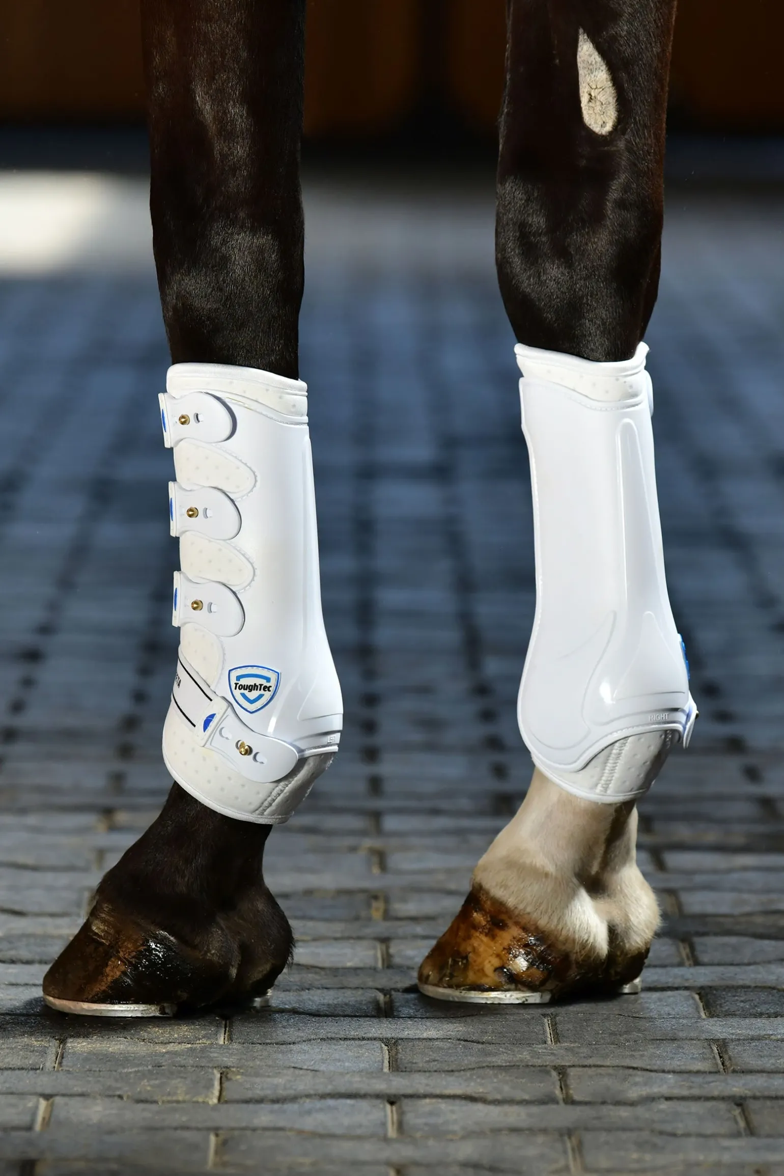 Tough-Tec Hard Shell Dressurgamaschen