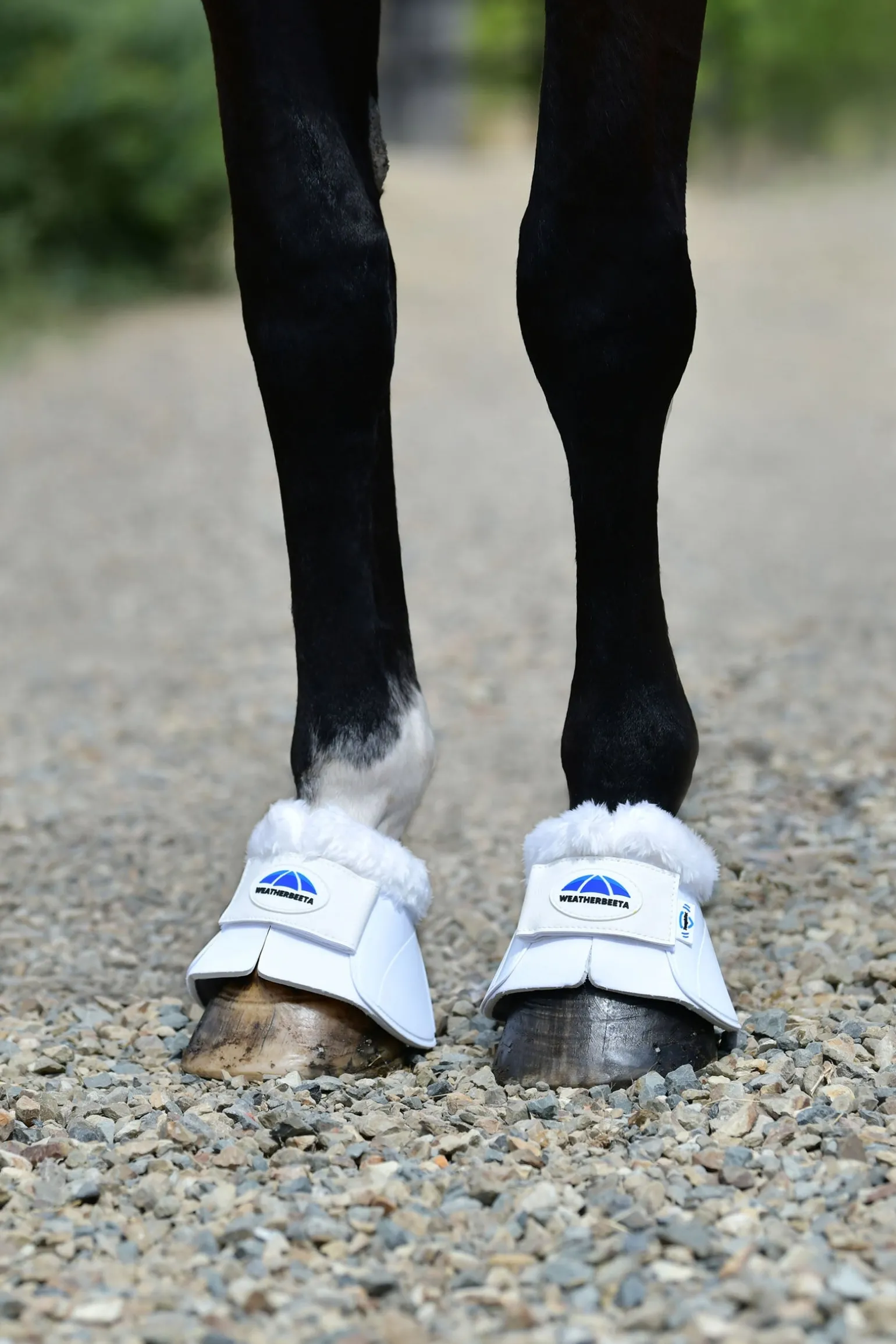 Tough-Tec Impact Fleece-besetzte Hufglocken