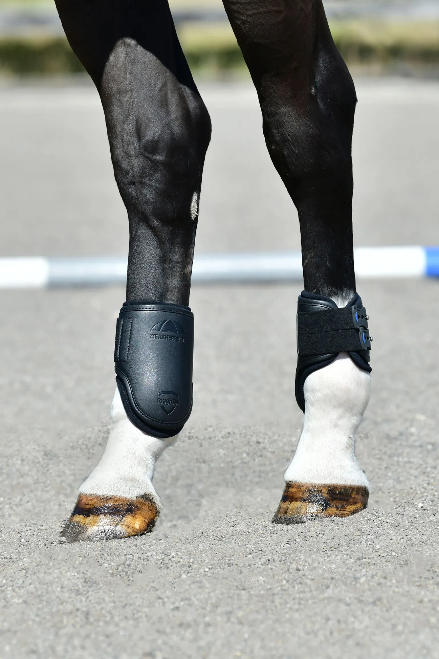 Tough-Tec Pro Gamaschen, hinten