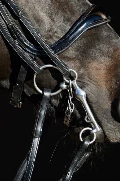 Ultrasoft® Amy Kandarenzaum