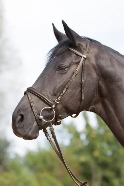 Ultrasoft® Trensenzaum