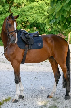 Upstate Jumping Saddle Pad