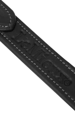 Vector Steigbügelriemen