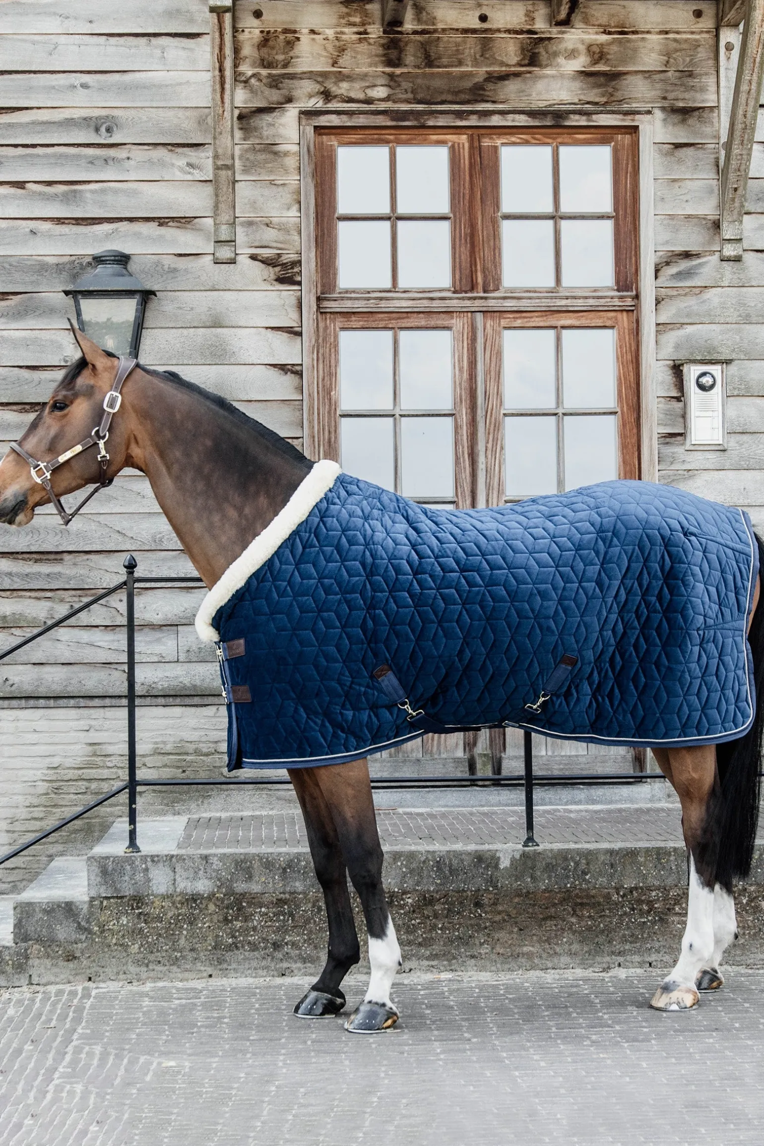 Velvet Pony Turnierdecke, 160g