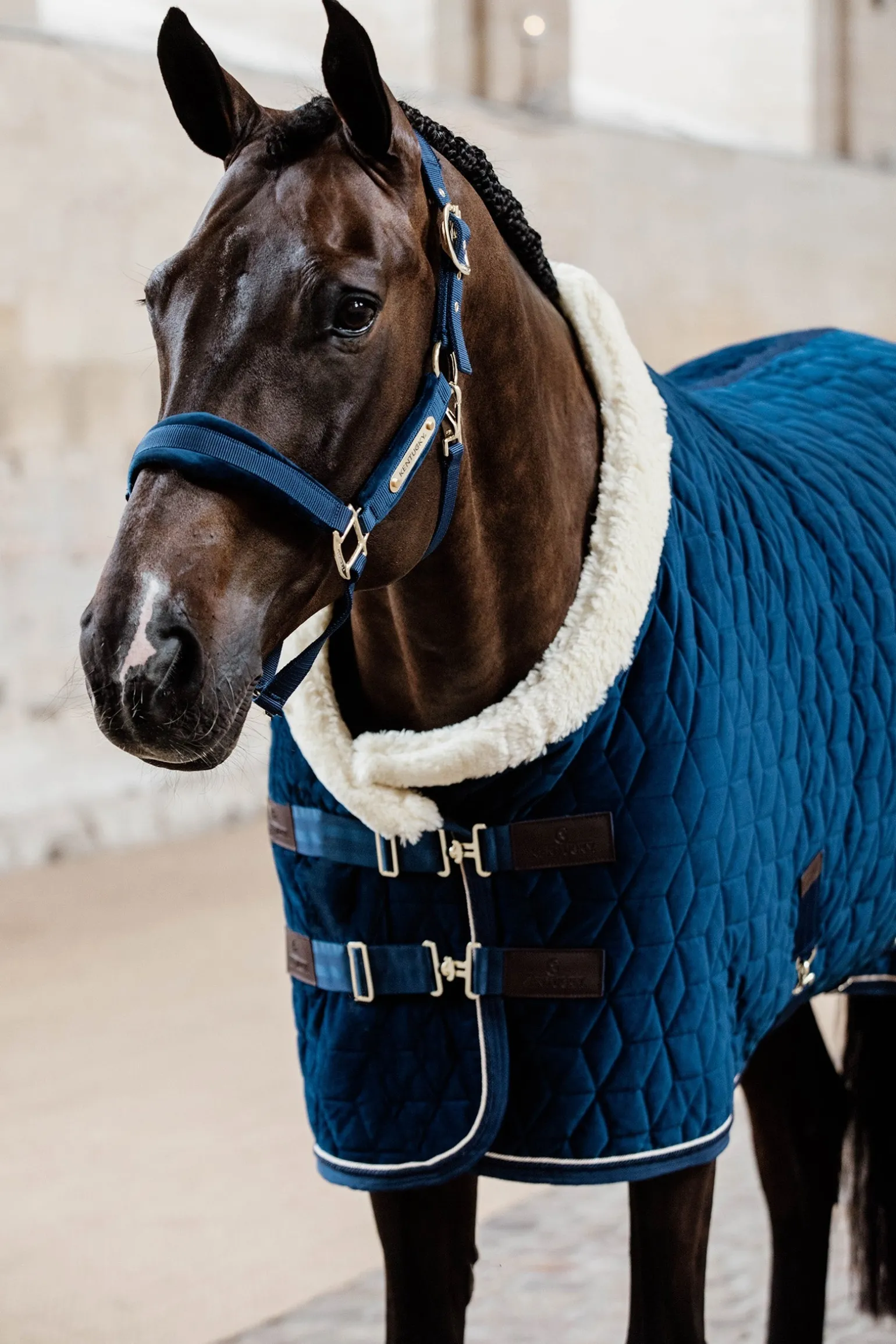 Velvet Pony Turnierdecke, 160g