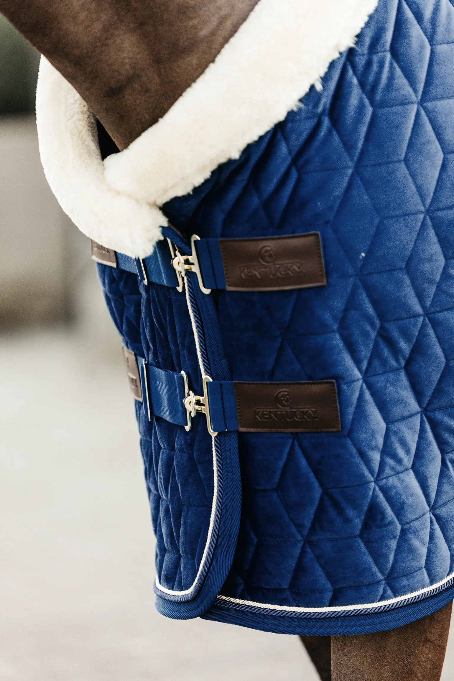 Velvet Pony Turnierdecke, 160g