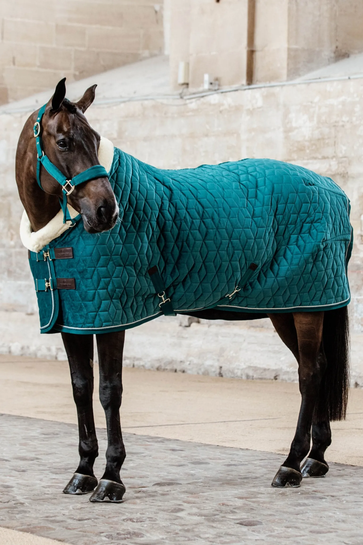 Velvet Turnierdecke, 160g