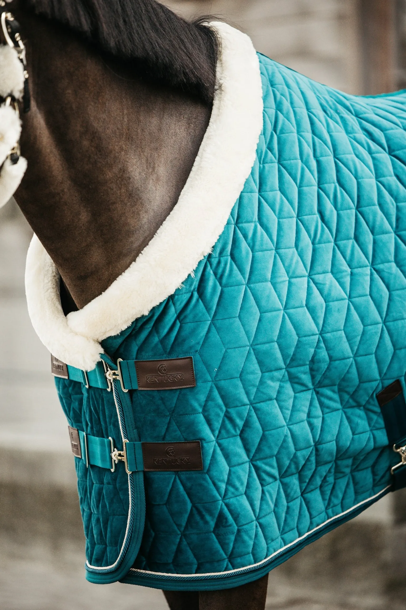 Velvet Turnierdecke, 160g