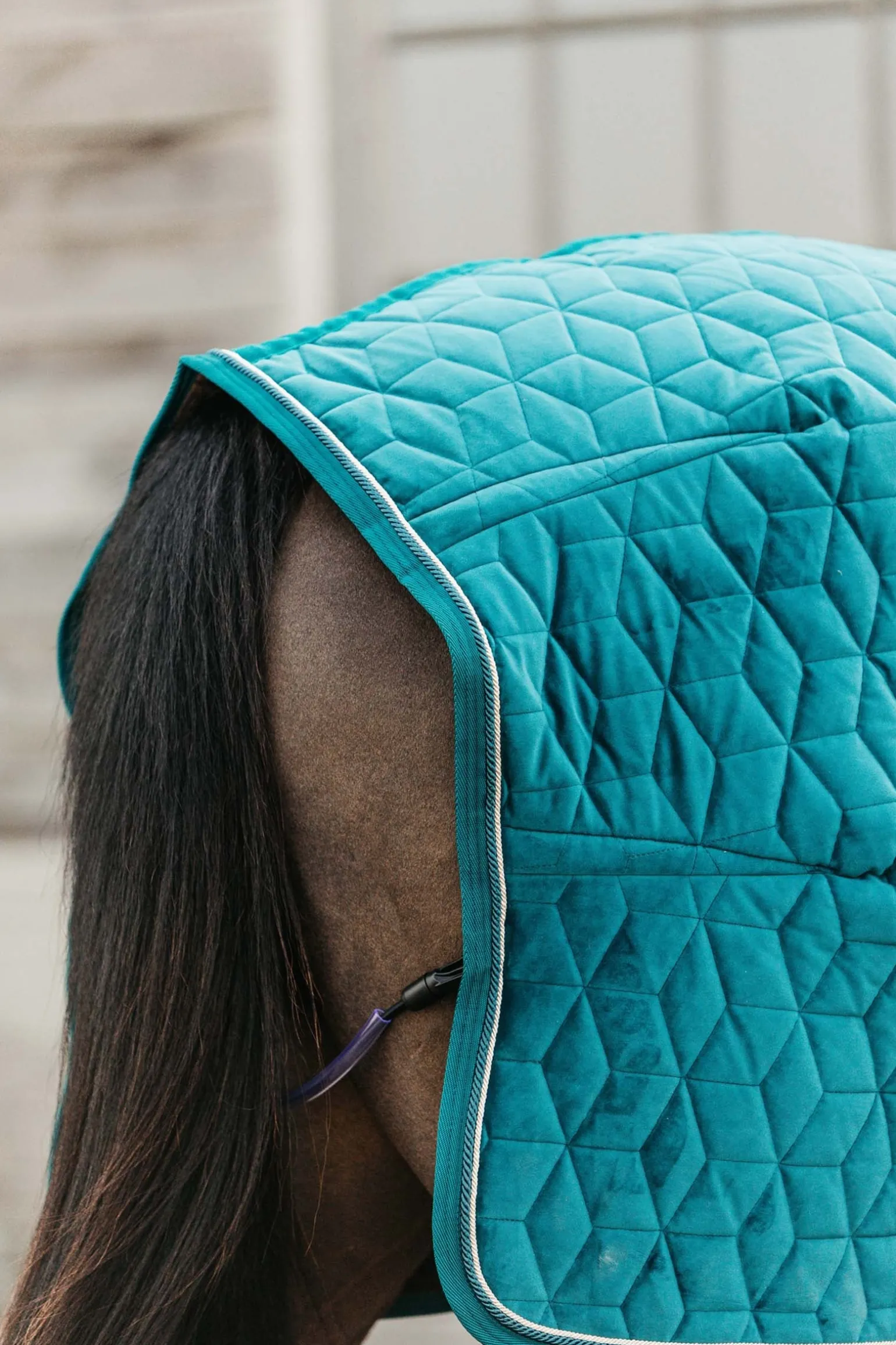 Velvet Turnierdecke, 160g