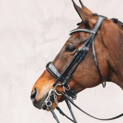 Venice Double Bridle