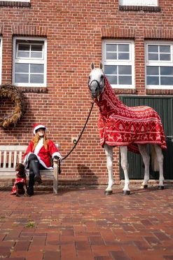 Weihnachts-Pullover für Pferde