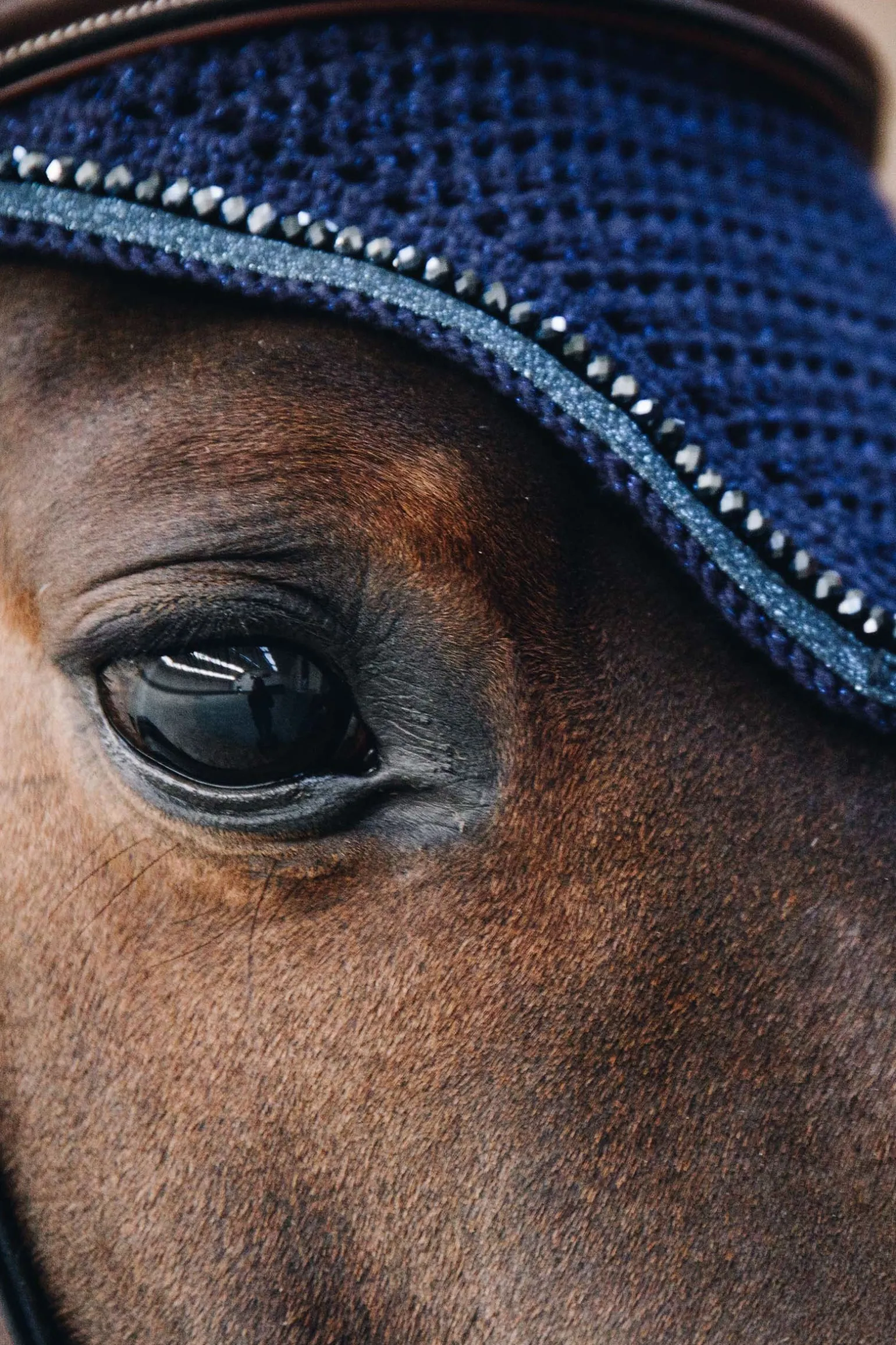 Wellington Glitter Fliegenhaube