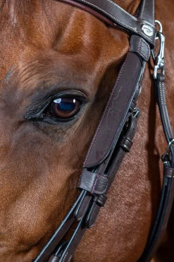 Working Mini-Scheuklappen