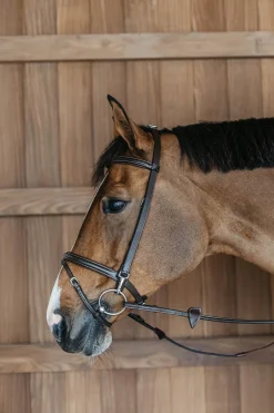 Working Trainings Trense